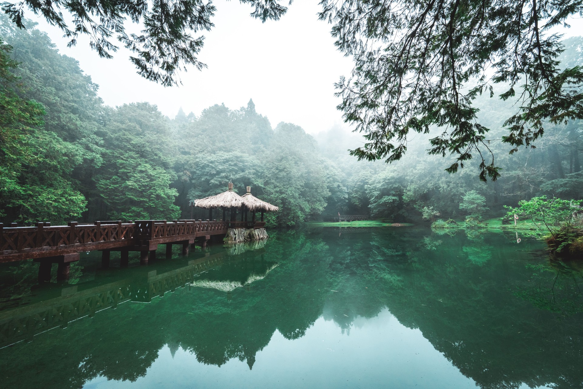 Wooden gazebo on the lake with cedar trees and fog in the background in the forest in Alishan National Forest Recreation Area in winter in Chiayi County, Alishan Township, Taiwan